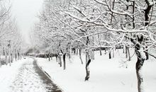 最大一场雪_300字