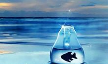 有时，我也想自由