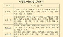 2018初中新生入团申请（二）