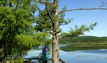 再一次走进那片土地