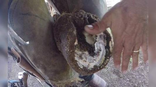 擦除层的污点