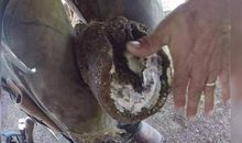 抹去那层的污渍