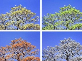 春天，夏天，秋冬