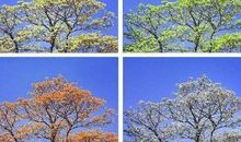 春夏秋冬的自述