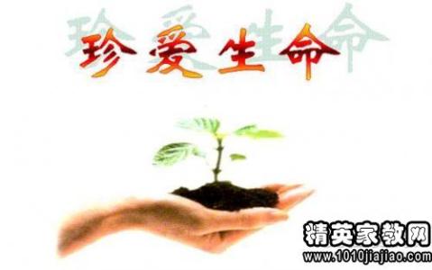 注意生活，珍惜生活_900字