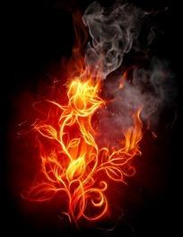 鲜花燃烧的季节