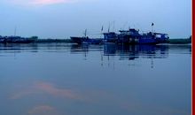 渔港的早晨_350字