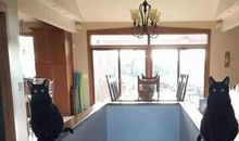 朋友，请再等几秒钟