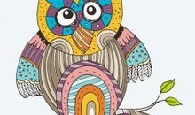 动物的“规矩”