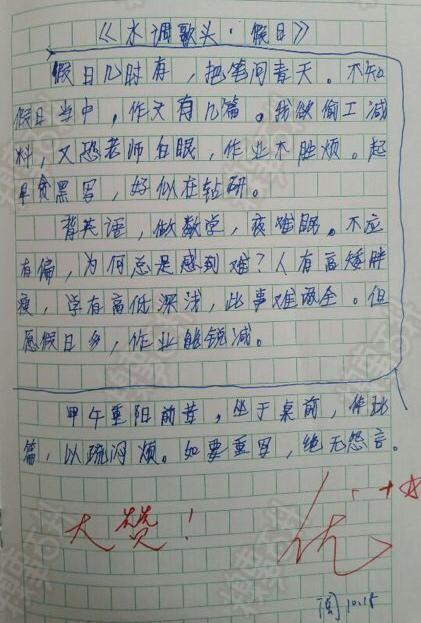 洗衣“风暴”_650字