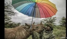 用心灵的相机记录世界