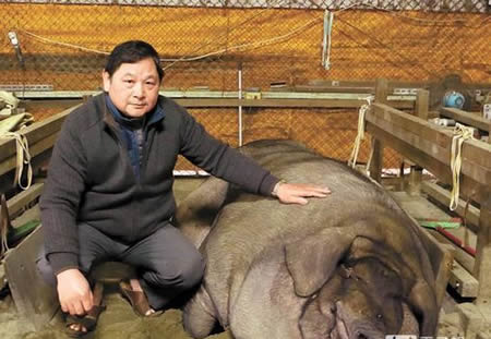 战争寒冷