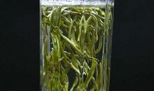 家乡的“毛峰”茶