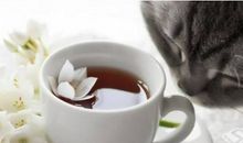 愁是一杯淡香的茶