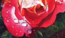 是爱，让花瓣坠落