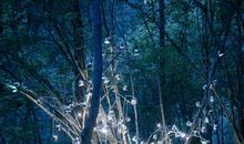 把光明撒向你前方的每一个角落