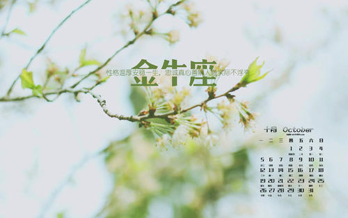美丽的声明（3）