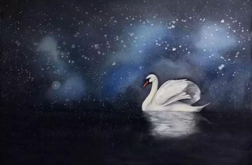 天鹅后丑陋的鸭子