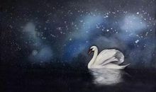 变成天鹅后的丑小鸭