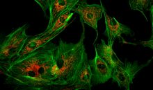 科学之美在哪里