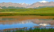 美丽的肥城我的家