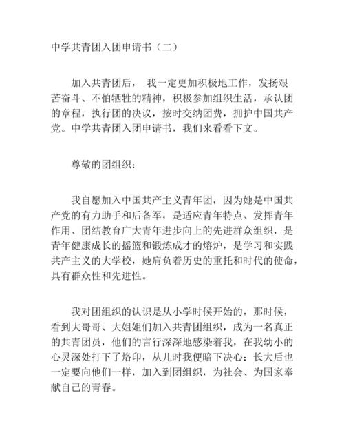 高中中国共产主义青年联赛应用（1）