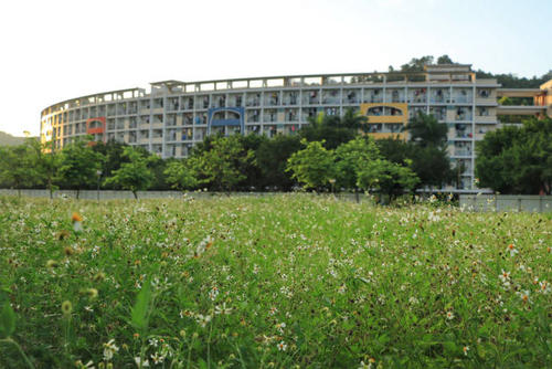 红色建筑