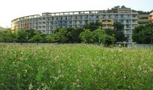 红楼的斑斓之点