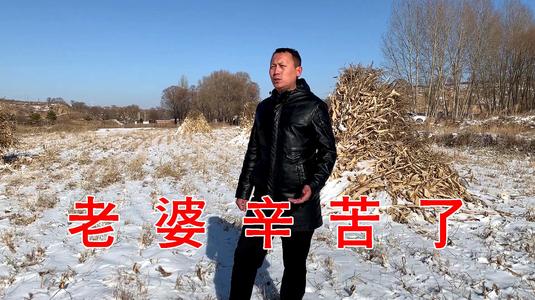 怎么获得