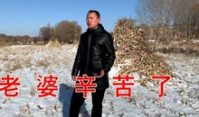 怎一腔肺腑了得