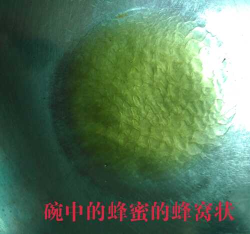 生命通过四个季节的_2000字