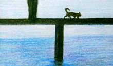 文学的彼岸有梦想在等待