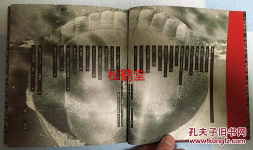 命运的转世 - “十二只猴子”