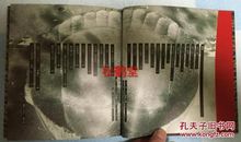 命运的轮回——《十二猴子》观后感