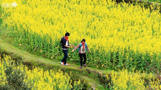 我觉得“我要上学”