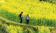 观《上学路上》有感