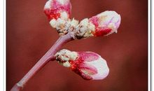 那些无关乎己的温暖