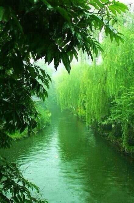 生存是美丽的