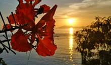 挫折，也是一种美