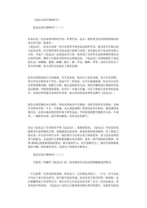 大街_800字