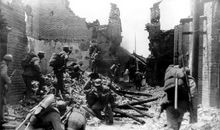 回望那一闪而过的生命