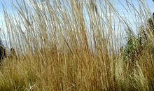 运动——属于我们的阳光