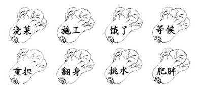 小白兔大白菜_200字