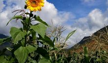 成长的路上有爱