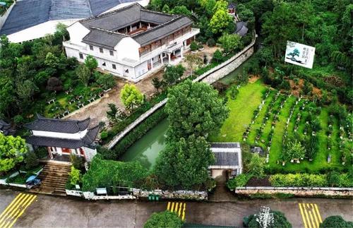 我爱我的家庭庭院