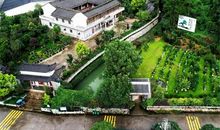 我爱我家的庭院