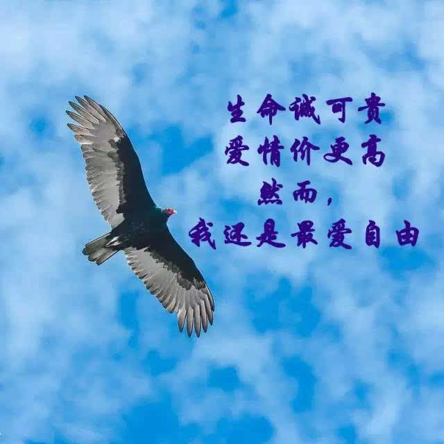 最有价值的生活_650字