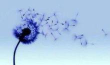 汉字，你快回来