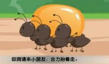 蚂蚁搬食真有趣_350字