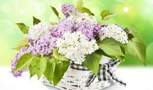 逆境中需要鼓励